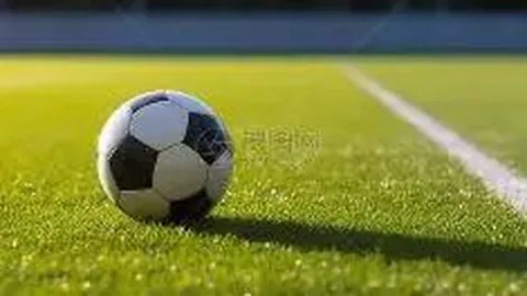 壹号娱乐官网 资讯 085505 3x4